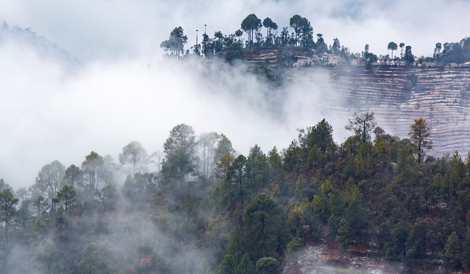 Mukteshwar Plots